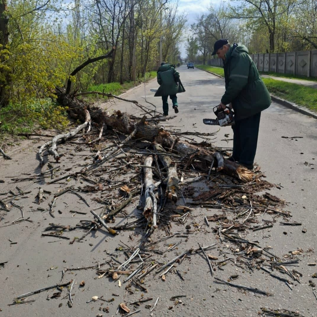У Харкові ліквідовують буревію: комунальники прибирають повалені дерева