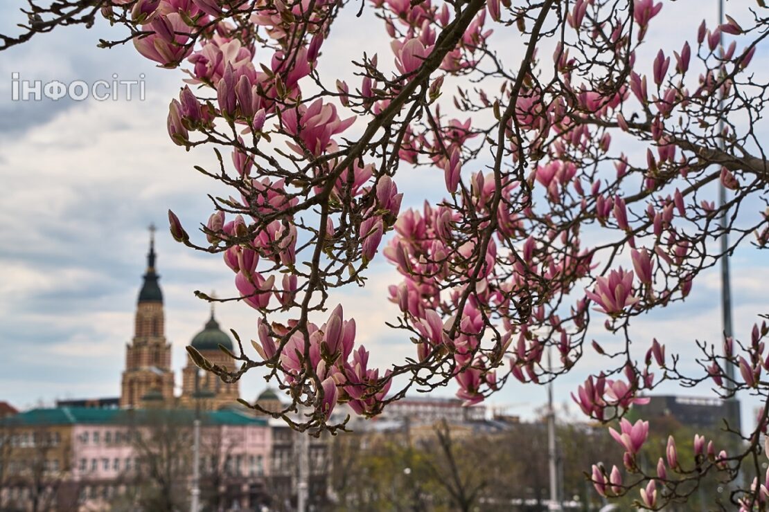 Прогноз погоди у Харкові та області на понеділок, 20 квітня