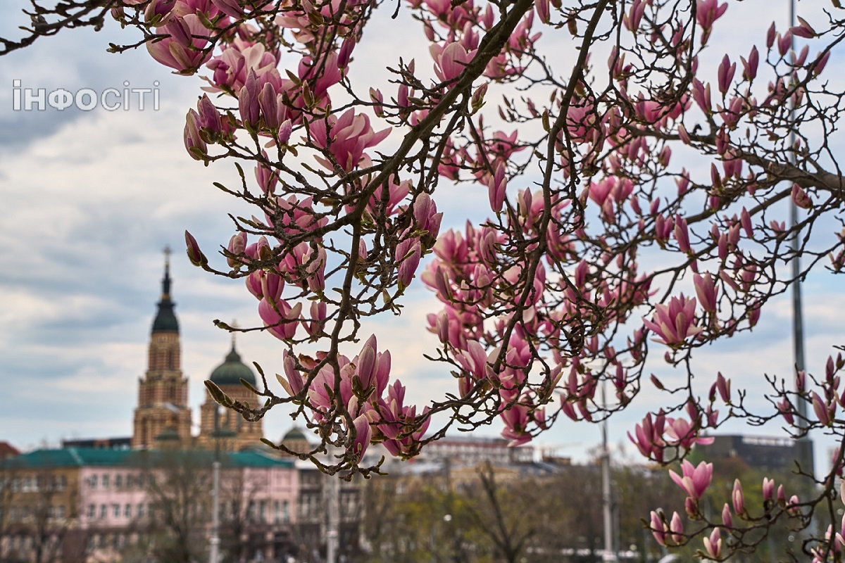 Прогноз погоди у Харкові та області на понеділок, 20 квітня