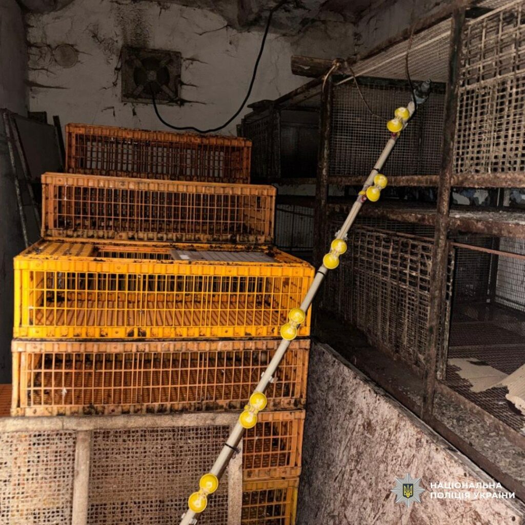 Вбивство жінки на Харківщині: тіло знайшли лише через півтора року