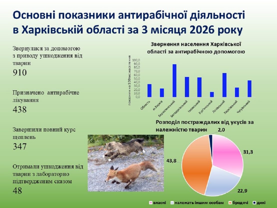 За три місяці 2026 року понад 400 мешканців Харківщини отримали антирабічну допомогу