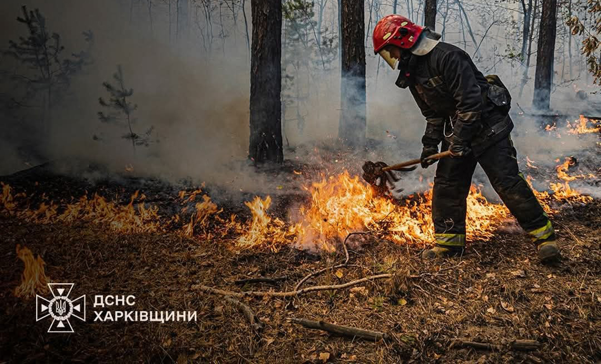 Минулого тижня на Харківщині сталася 91 пожежа в екосистемах