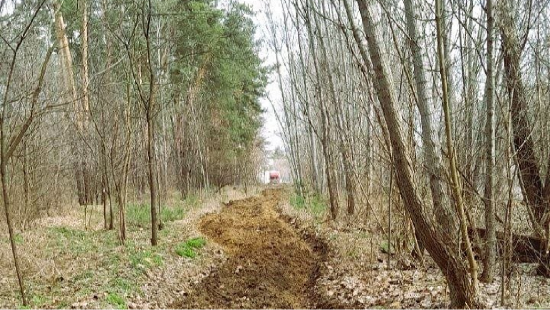 Комунальники обкопують лісові масиви у Харкові