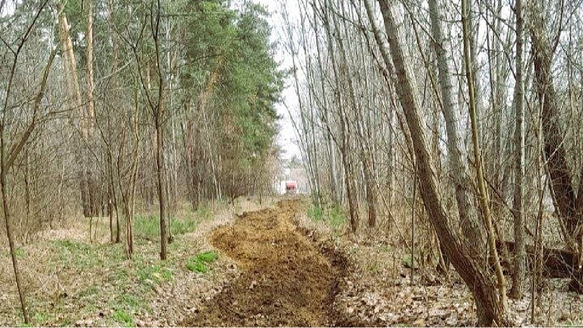 Комунальники обкопують лісові масиви у Харкові