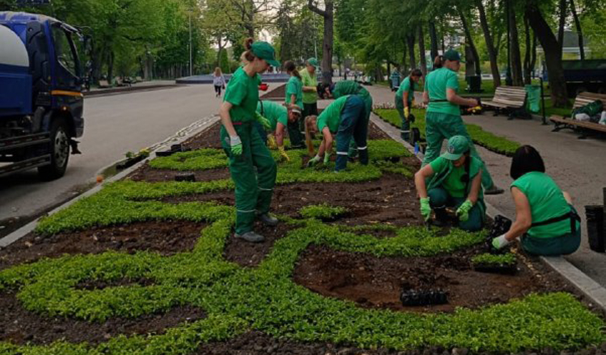 У Харкові висаджують клумбу з написом «Слава Україні»