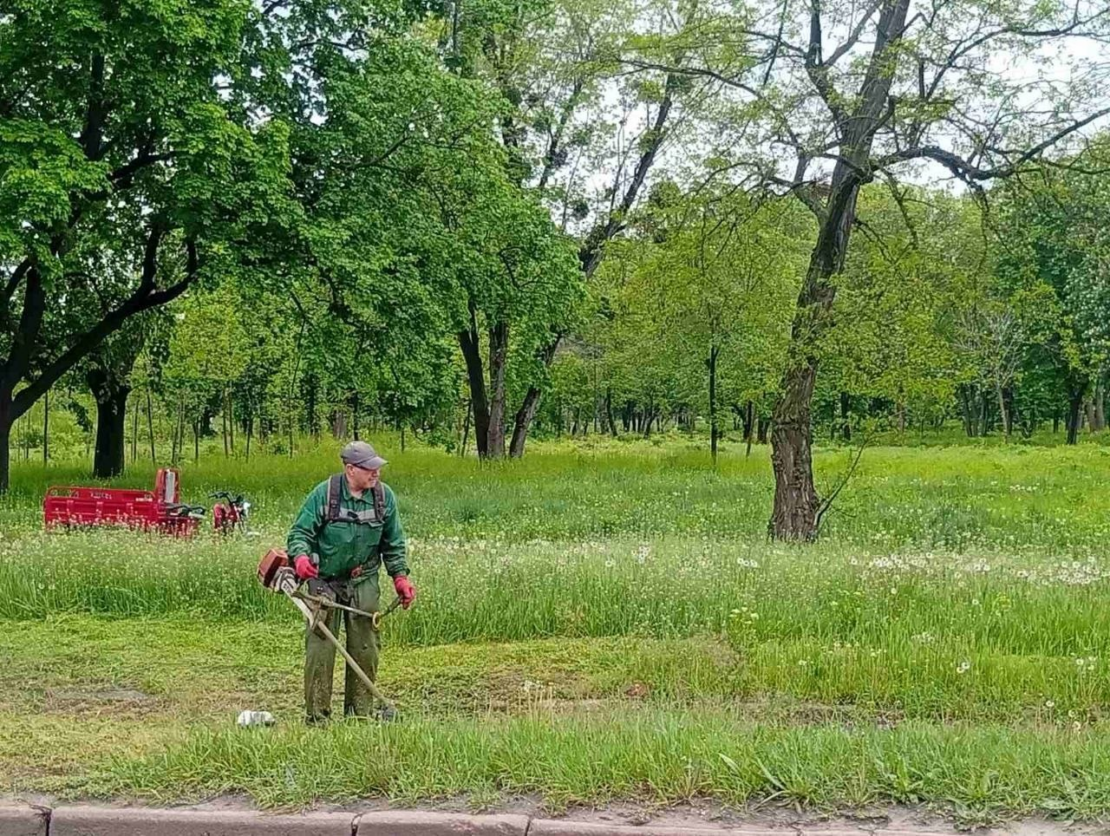 Комунальники продовжують упорядковувати зелені зони (фото)
