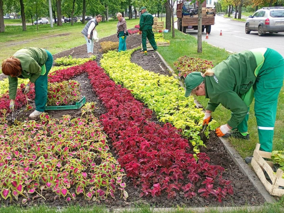 Харківські комунальники упорядковують зелені зони (фото)