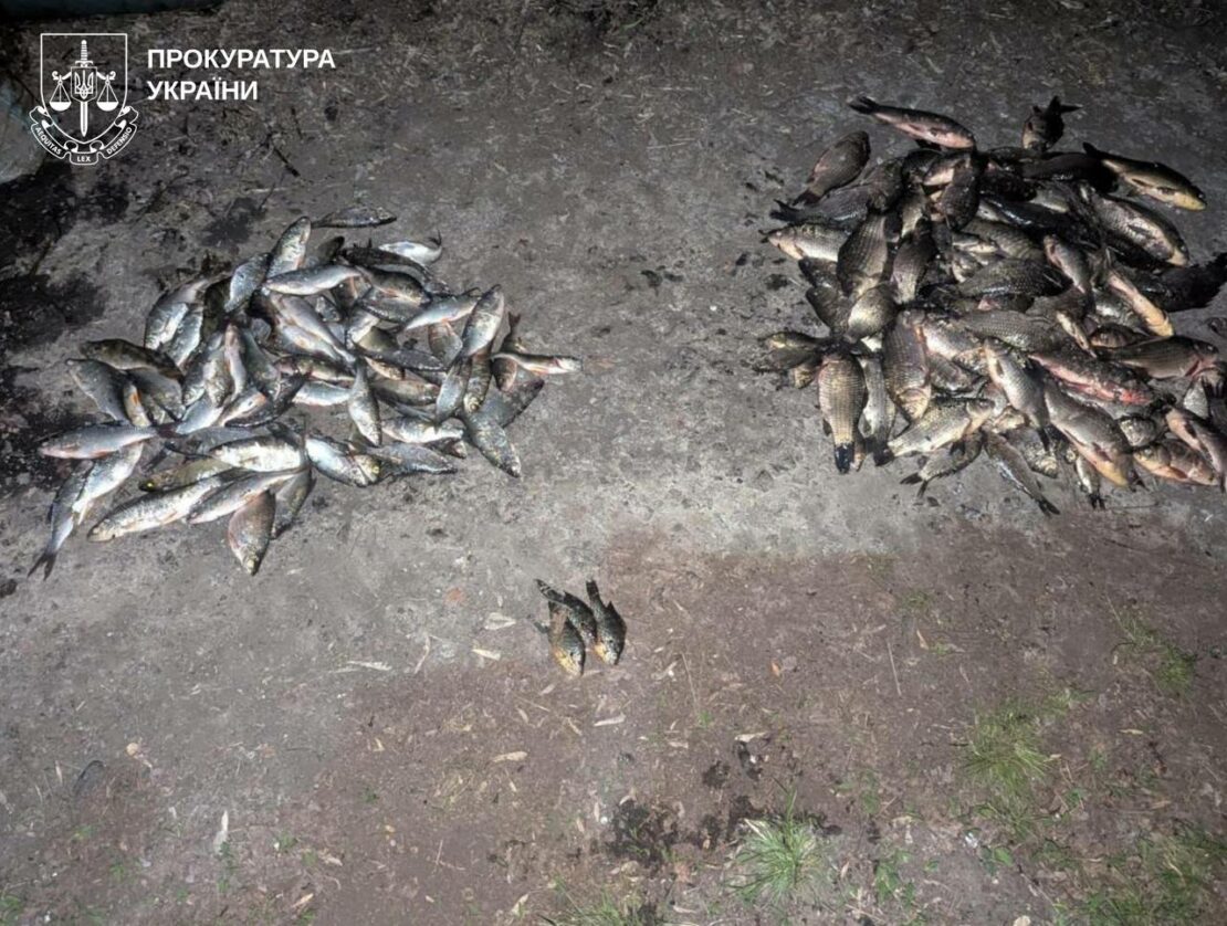 На Харківщині браконьєр виловив червонокнижну рибу (фото)