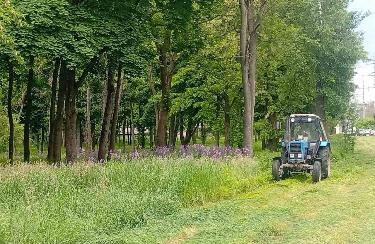 Комунальники наводять лад у парках Харкова