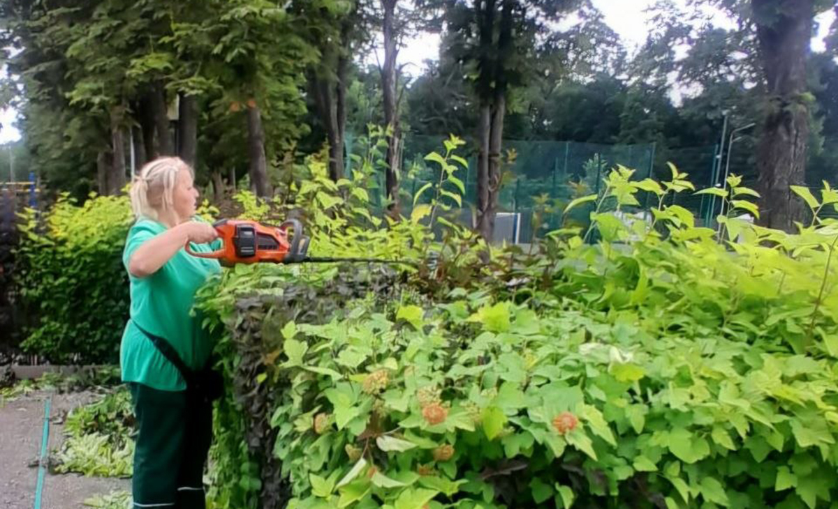 У Центральному парку проводять санітарну стрижку кущів