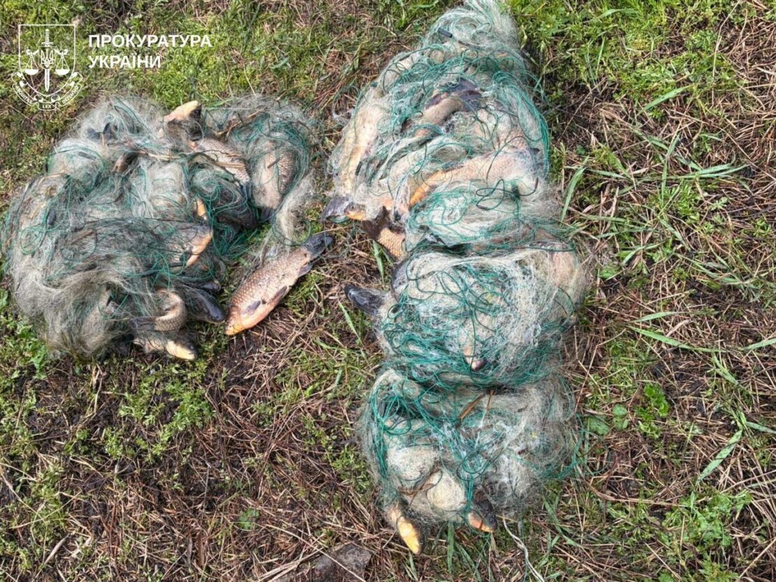 На Харківщині браконьєр виловив червонокнижну рибу (фото)