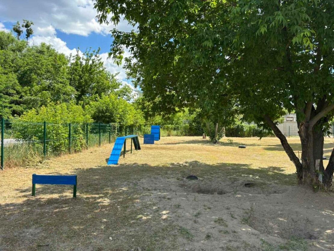 У Харкові впорядковують майданчики для вигулу собак (фото)