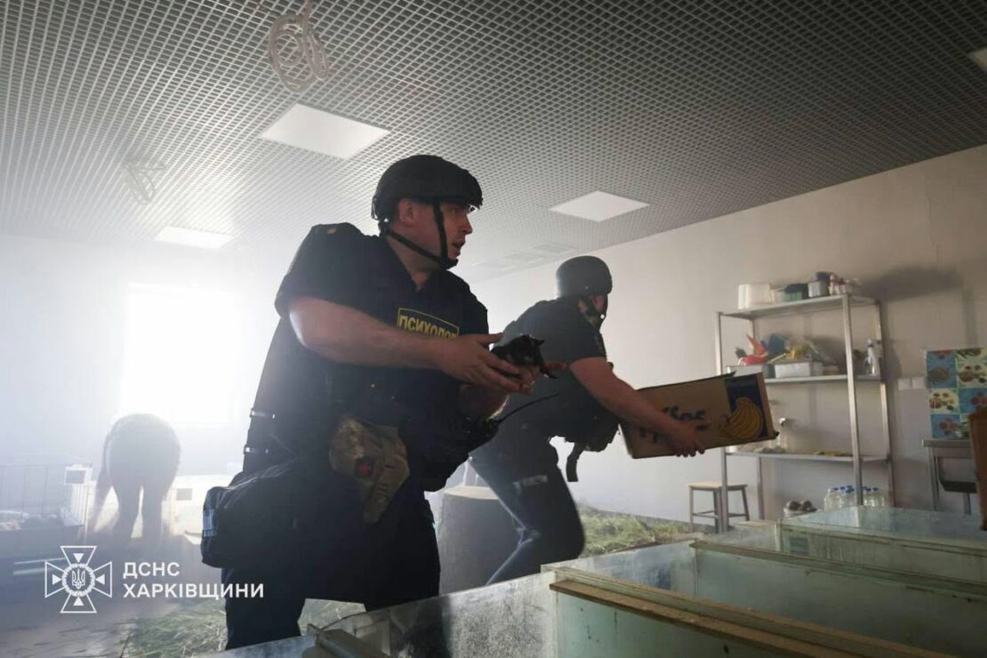 Ворог обстріляв харківський зоопарк: загинули тварини