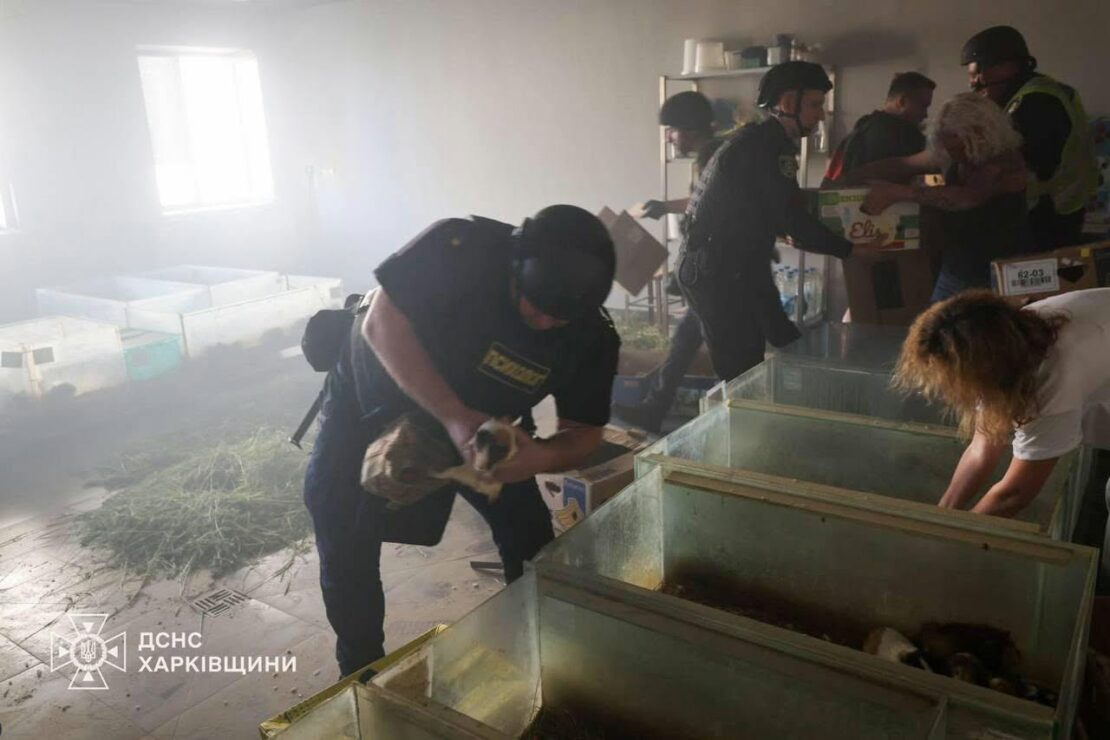 Ворог обстріляв харківський зоопарк: загинули тварини