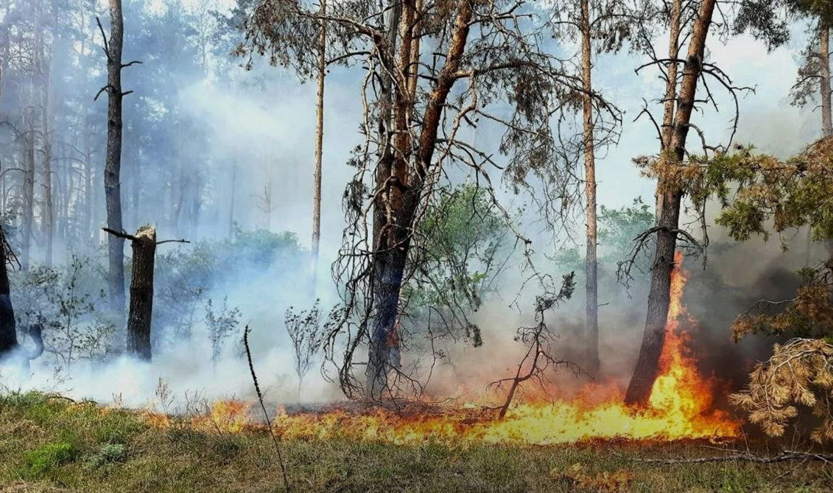 На Харківщині прогнозують пожежну небезпеку