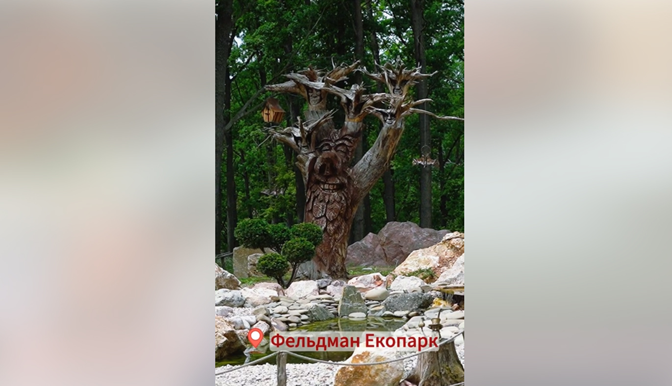 У Фельдман Екопарк відкрили нову сімейну локацію