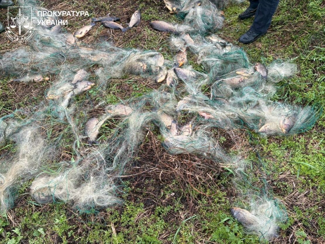 На Харківщині браконьєр виловив червонокнижну рибу (фото)