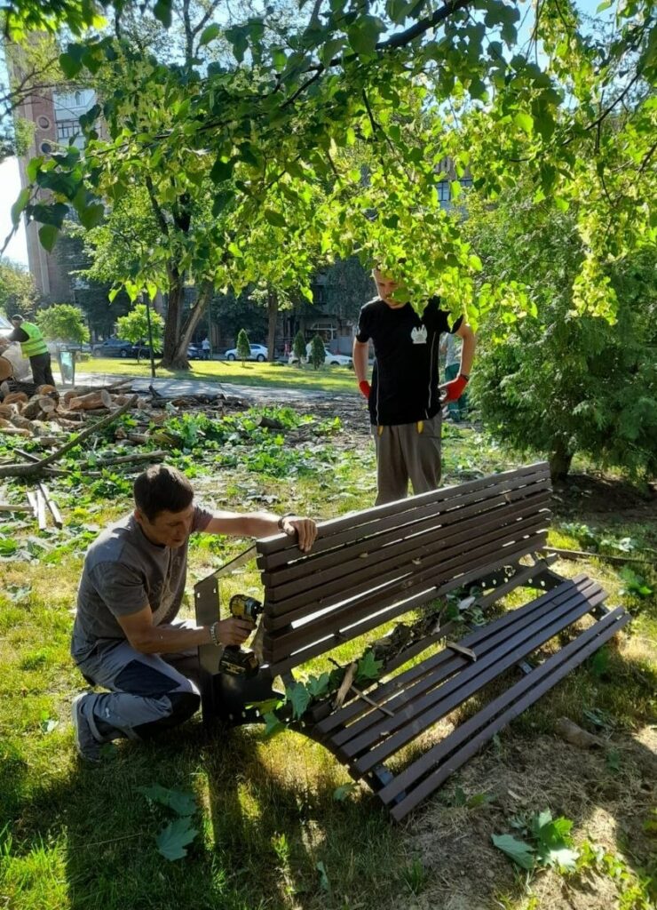У Харкові в Молодіжному парку вночі впало велике дерево (фото)