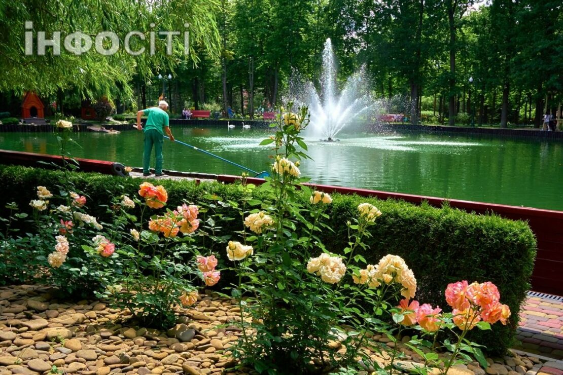 У червні Центральний парк зустрічає гостей розкішними трояндами (фото)