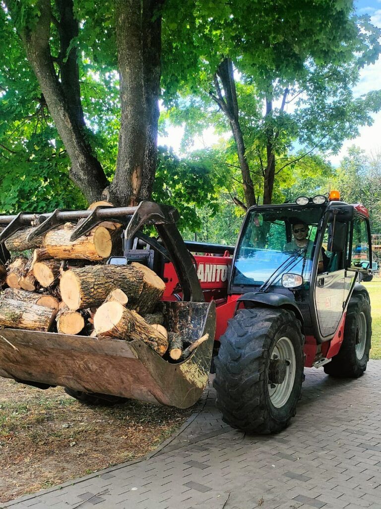 На бульварі Юр’єва у Харкові зрізають аварійні дерева (фото)