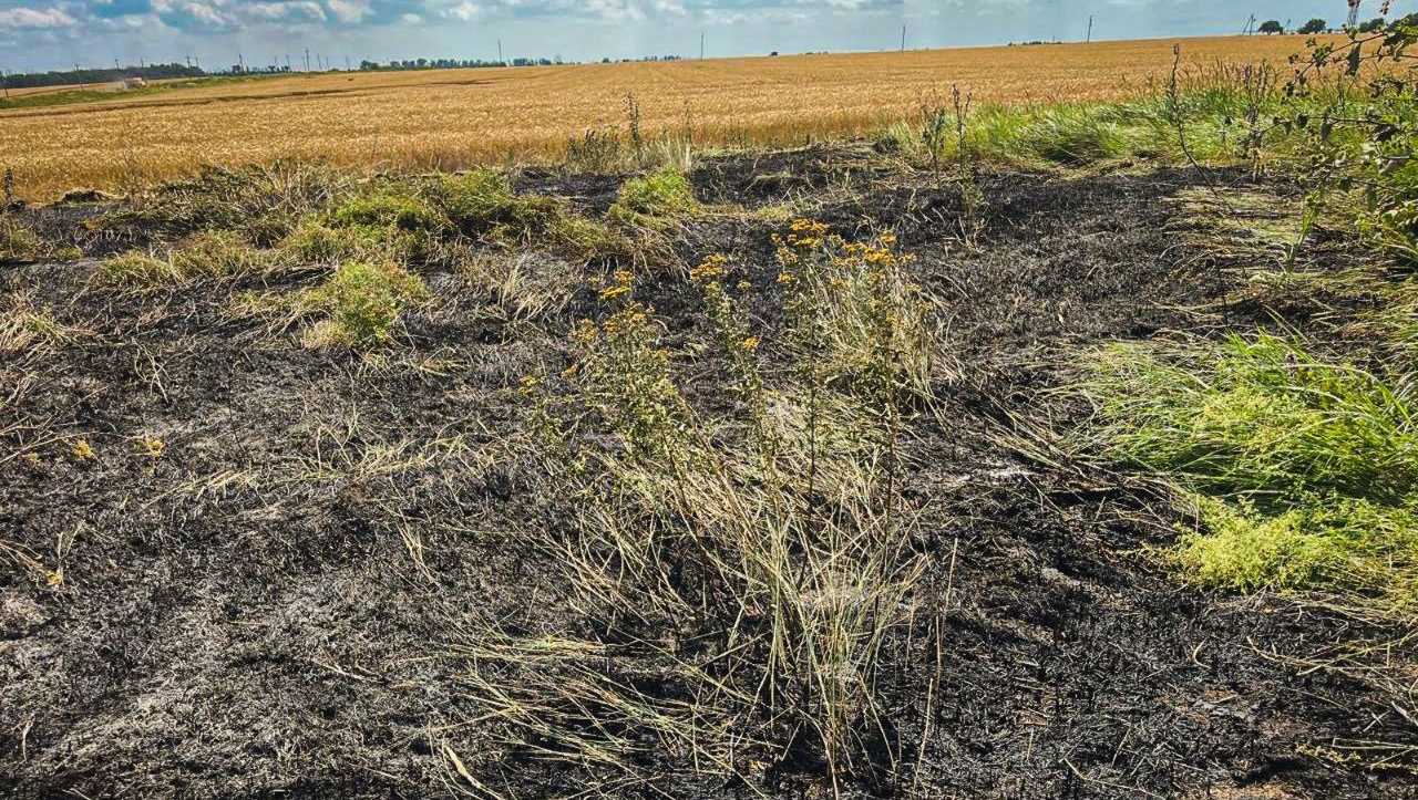 На Харківщині через обстріли горіли пшеничні поля