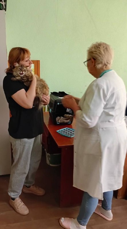 З початку літа у Харкові вакцинули від сказу близько 4,6 тисячі тварин (фото)