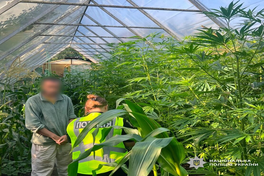 У мешканця Харківщини виявили 76 кущів марихуани