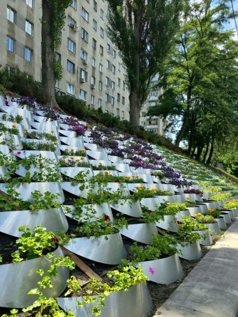 У центрі Харкова з’явилася нова квіткова композиція (фото)