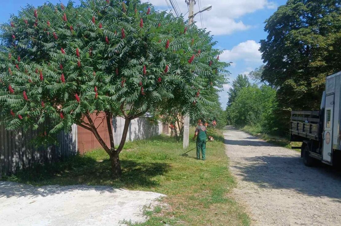 КП «Благоустрій» м. Харкова» підбило підсумки роботи за червень (фото)