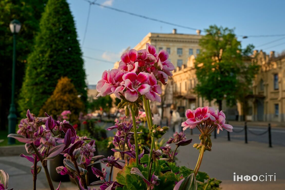 Погода у Харкові на сьогодні, 30 липня