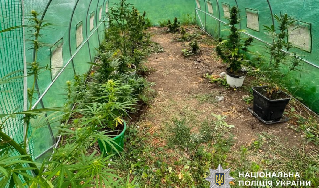 Поліція Харківщини підбила проміжні підсумки операції «Джентельмени»