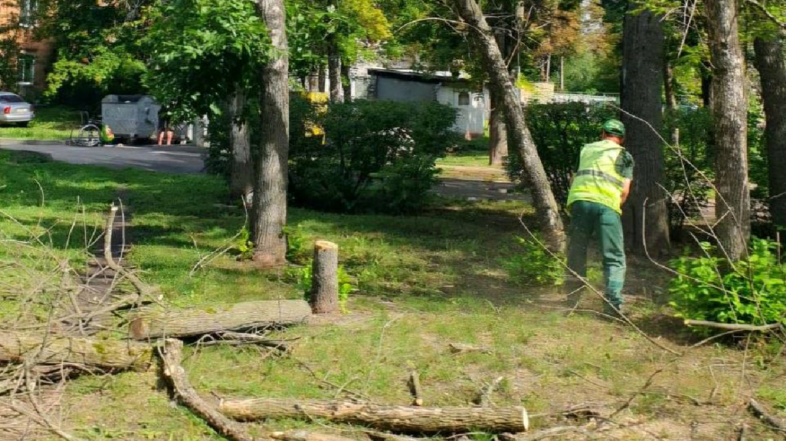 СКП «Харківзеленбуд» продовжує впорядковувати зелений фонд міста
