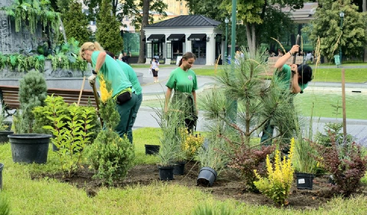 У саду Шевченка в Харкові створюють новий квітник (фото)