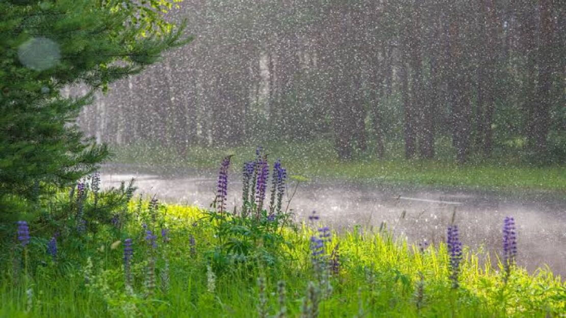 Погода в Харкові на неділю, 26 липня