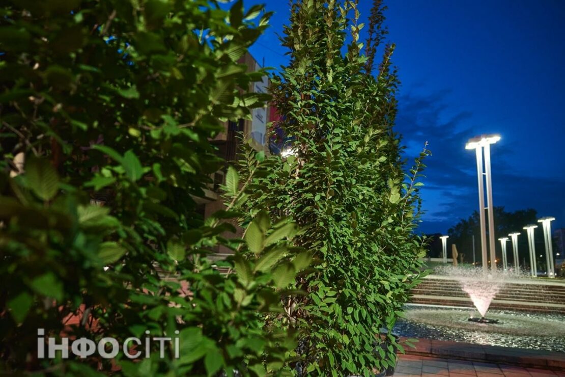 У Харкові простір перед оперним театром прикрашають рослинами (фото)