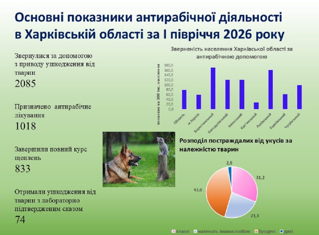 За перше півріччя 2026 року антирабічну допомогу отримали 1018 жителів Харківщини