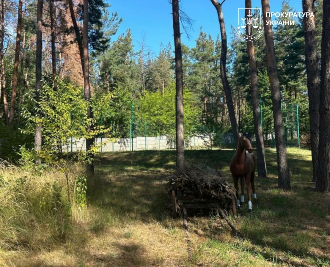 Харківська прокуратура через суд повернула державі 8 га лісу (фото)