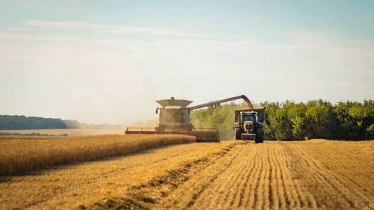 В Україні тривають жнива ранніх зернових та зернобобових культур