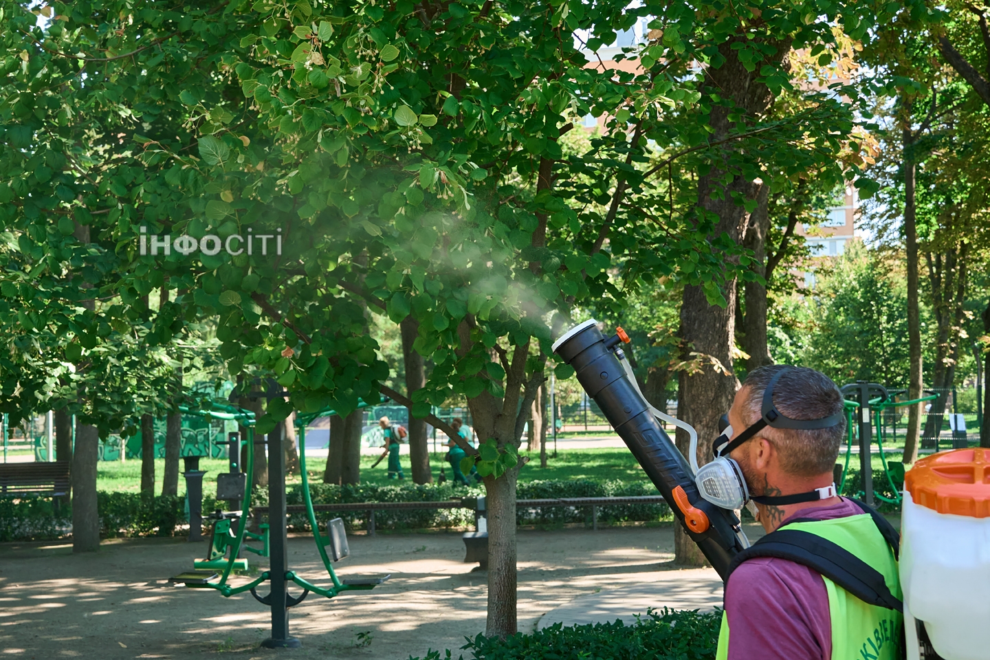 Як рятують рослини у парках Харкова (фото)