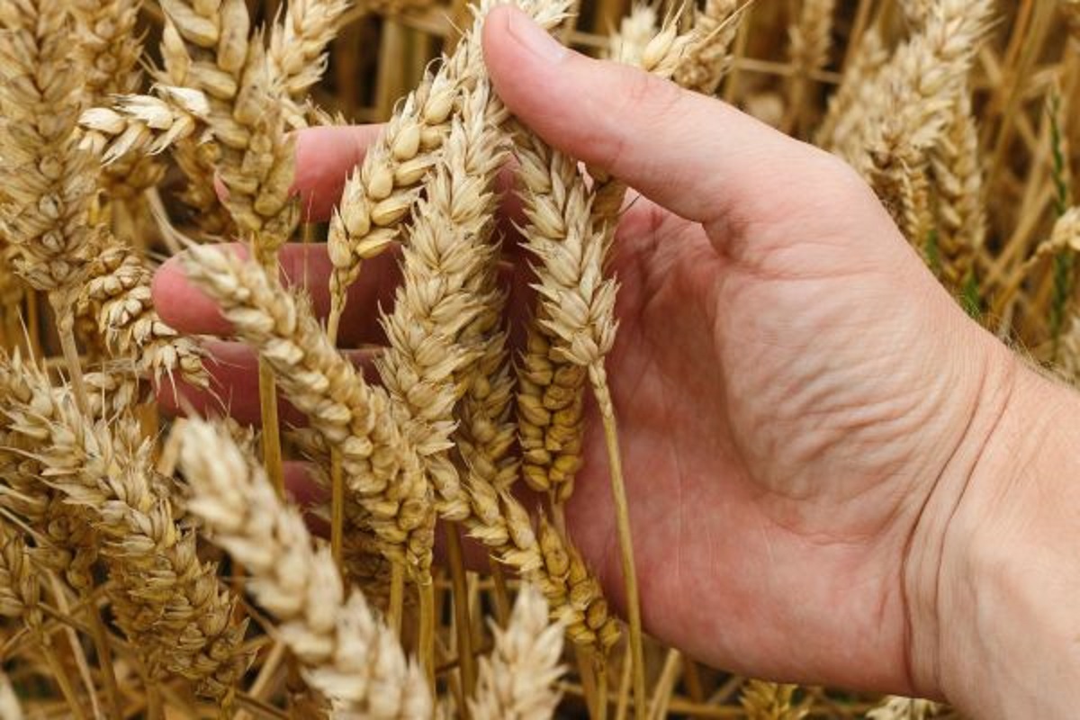Російські атаки портів можуть коштувати Україні мільярди доларів