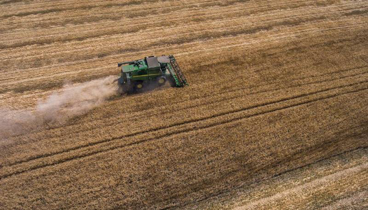 В Україні завершується збір ранніх зернових