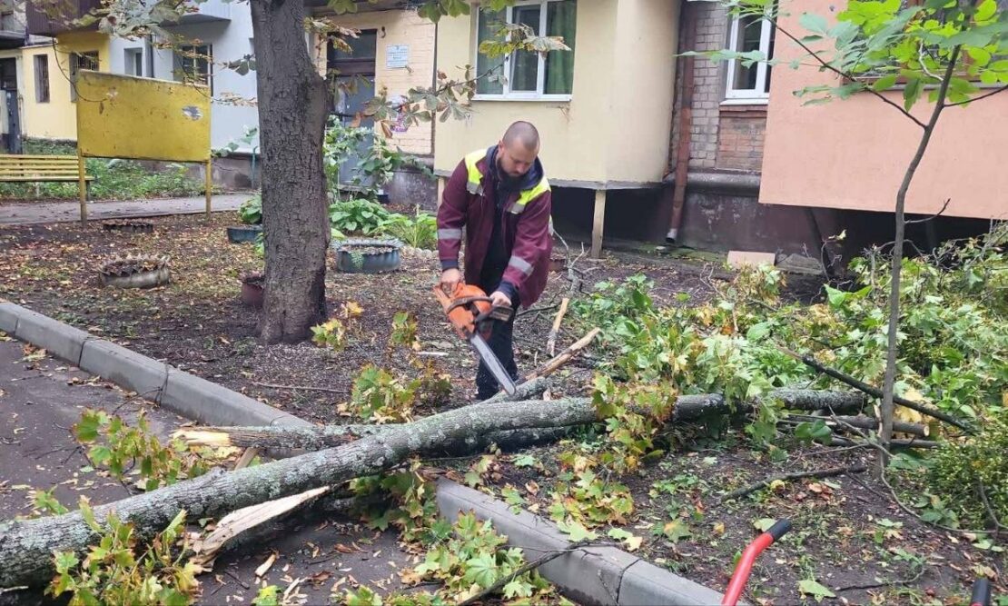 У Харкові через негоду впали понад 160 дерев (фото)