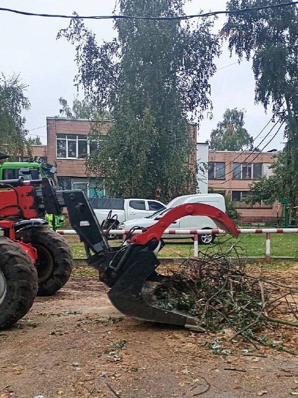 У Харкові ліквідують аварійні дерева та прибирають гілки (фото)