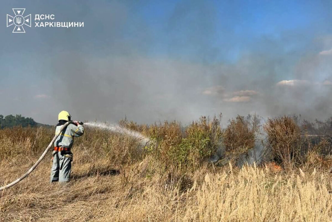 Минулої доби на Харківщині сталося 13 пожеж в екосистемах