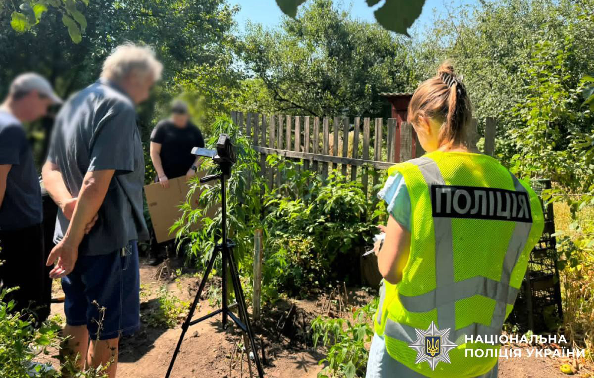 Харків'янка вирощувала коноплі на власному подвір’ї