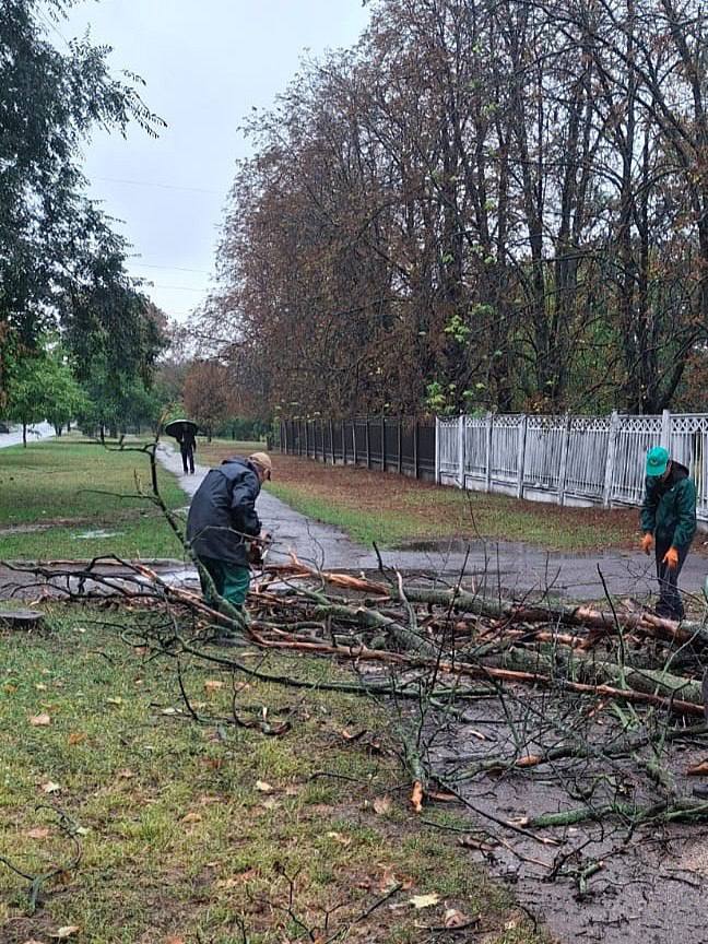 Через негоду у Харкові падають дерева та гілки (фото)