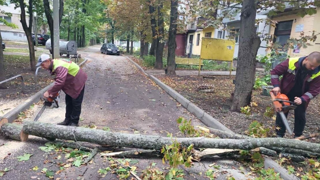 У Харкові через негоду впали понад 160 дерев (фото)