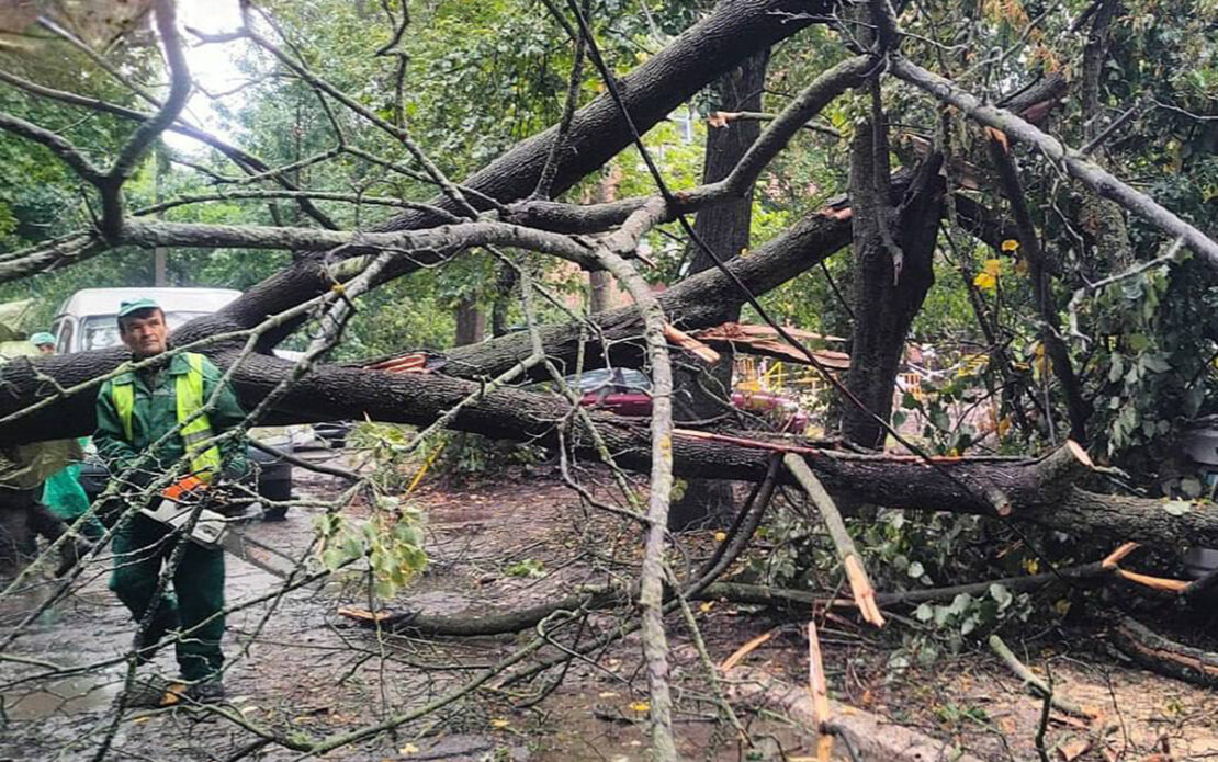 Через негоду у Харкові падають дерева та гілки (фото)