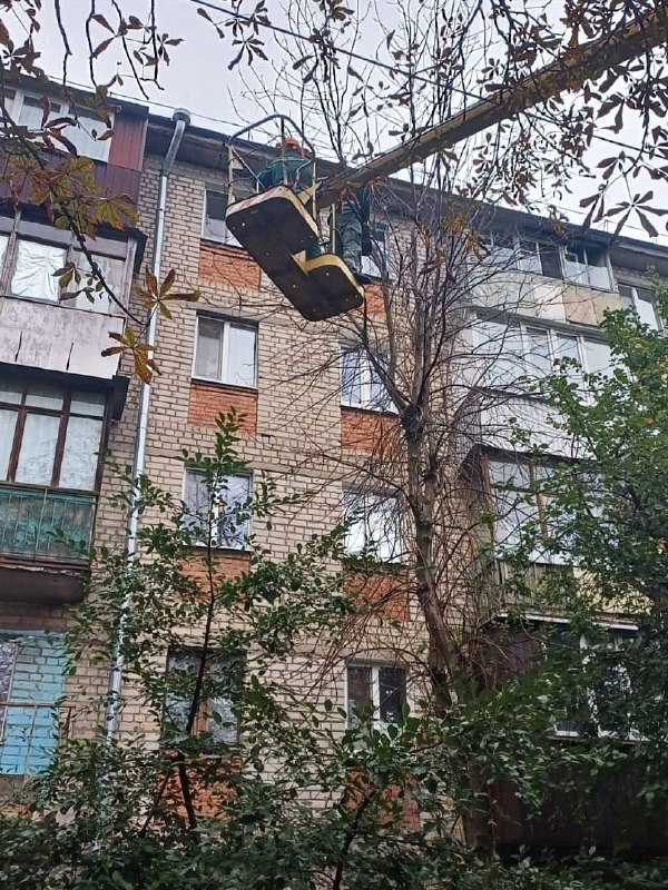 У Харкові ліквідують аварійні дерева та прибирають гілки (фото)
