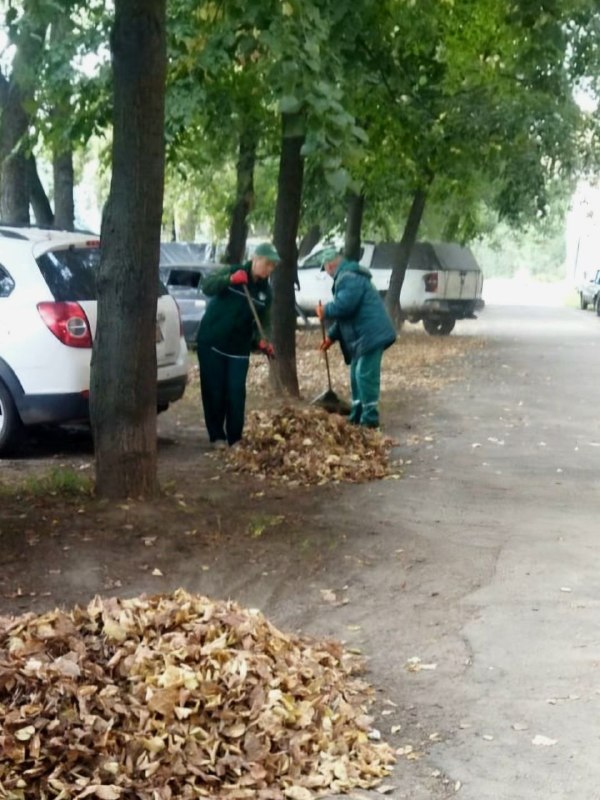 Харківські комунальники доглядають за зеленими зонами (фото)